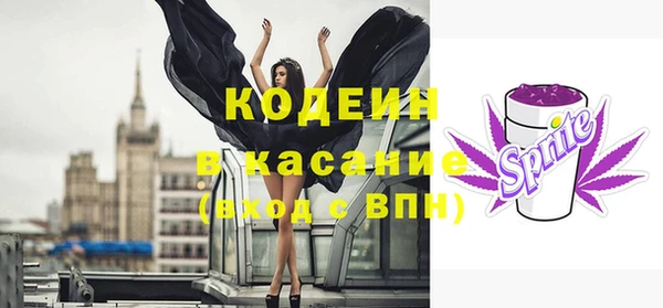 индика Арсеньев