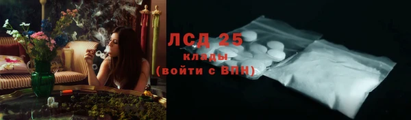 индика Арсеньев