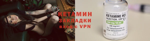 индика Арсеньев