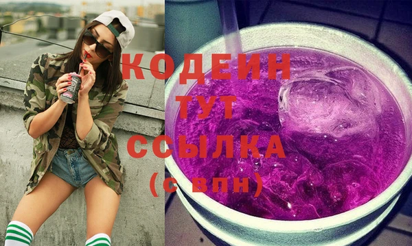 индика Арсеньев