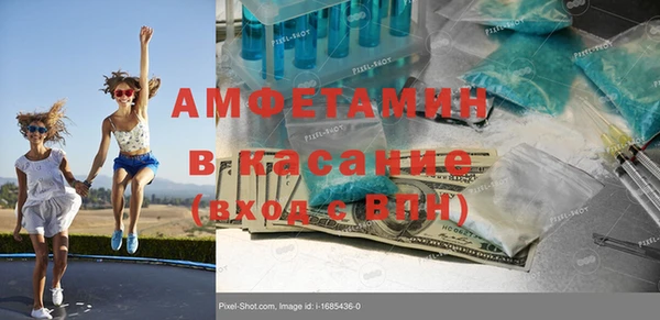 индика Арсеньев