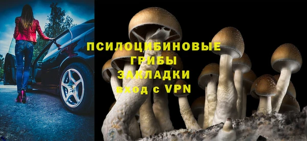 дурь Аркадак