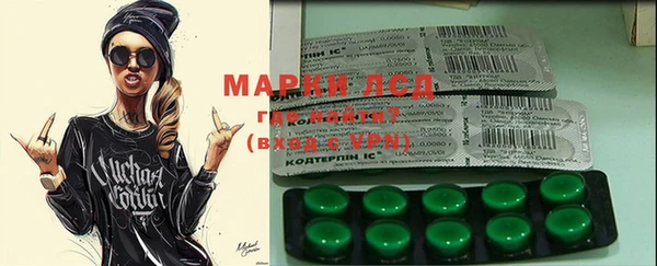 индика Арсеньев