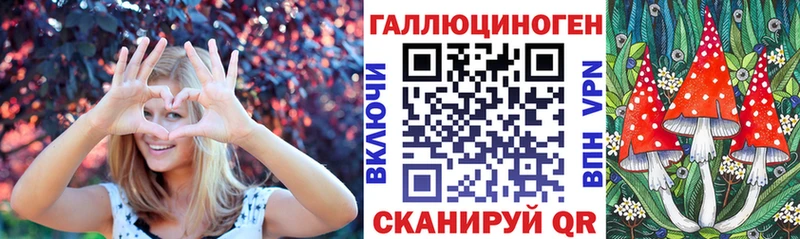 гидра зеркало  закладка  Свирск  Псилоцибиновые грибы Psilocybe 